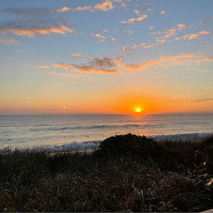 Meet your Posher, Felecia